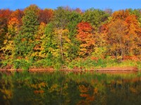 See Fall in All Its Beauty at Gatineau Park