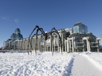 What to Do in Ottawa: Weekend Preview March 6-8