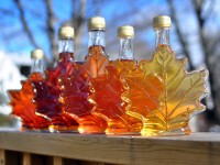 What to Do in Ottawa: Weekend Preview March 27-29