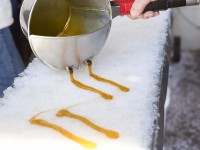 What to do in Ottawa: Weekend Preview April 10-12