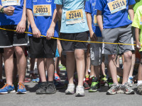 What to Do in Ottawa: Weekend Preview May 22-24