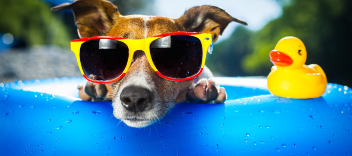 How to Handle a Heat Wave