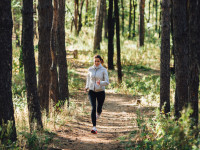 Healthy Living In Ottawa