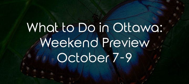 What to Do in Ottawa: Weekend Preview October 7-9