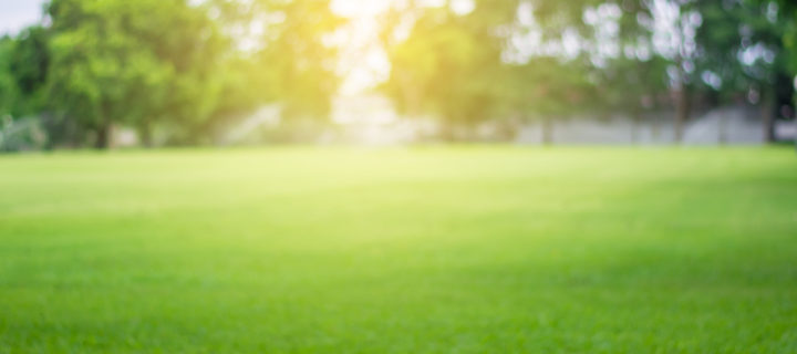 Grow a Beautiful Lawn This Summer with these Spring Steps