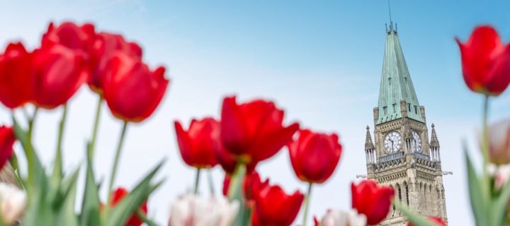 What To Do In Ottawa: Victoria Day Weekend Edition