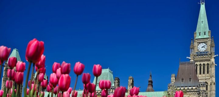 11 Things To Check Off Your Bucket List In Ottawa This Summer